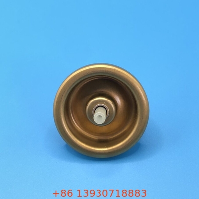 การเดินทางเป็นมิตรกับผม Mousse Spray Valve Styling บนการเดินทาง