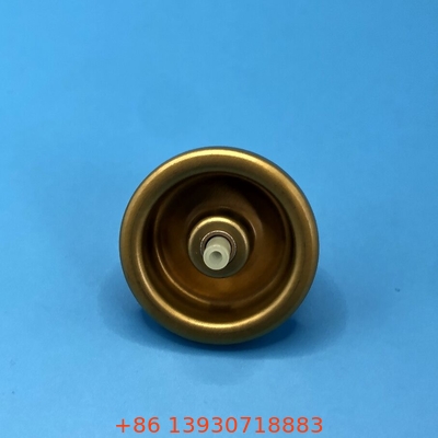 การเดินทางเป็นมิตรกับผม Mousse Spray Valve Styling บนการเดินทาง