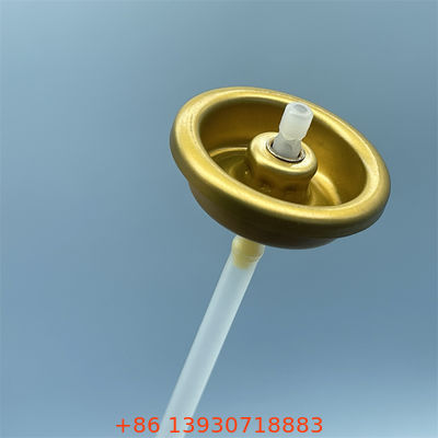 วาล์วสเปรย์ร่างกายสําหรับผู้สูงอายุ การดูแลบุคคลรายวัน